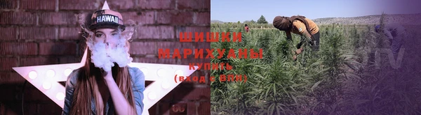 стаф Пересвет