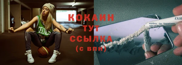 ALPHA PVP Остров