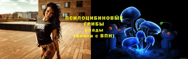 гидра Нижневартовск