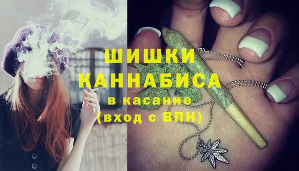 стаф Пересвет