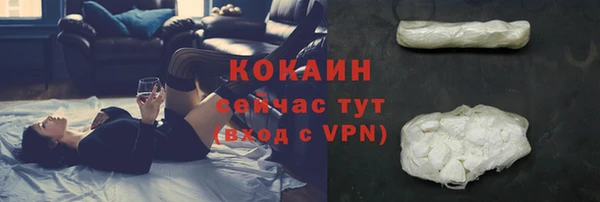 ALPHA PVP Остров