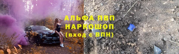 стаф Пересвет